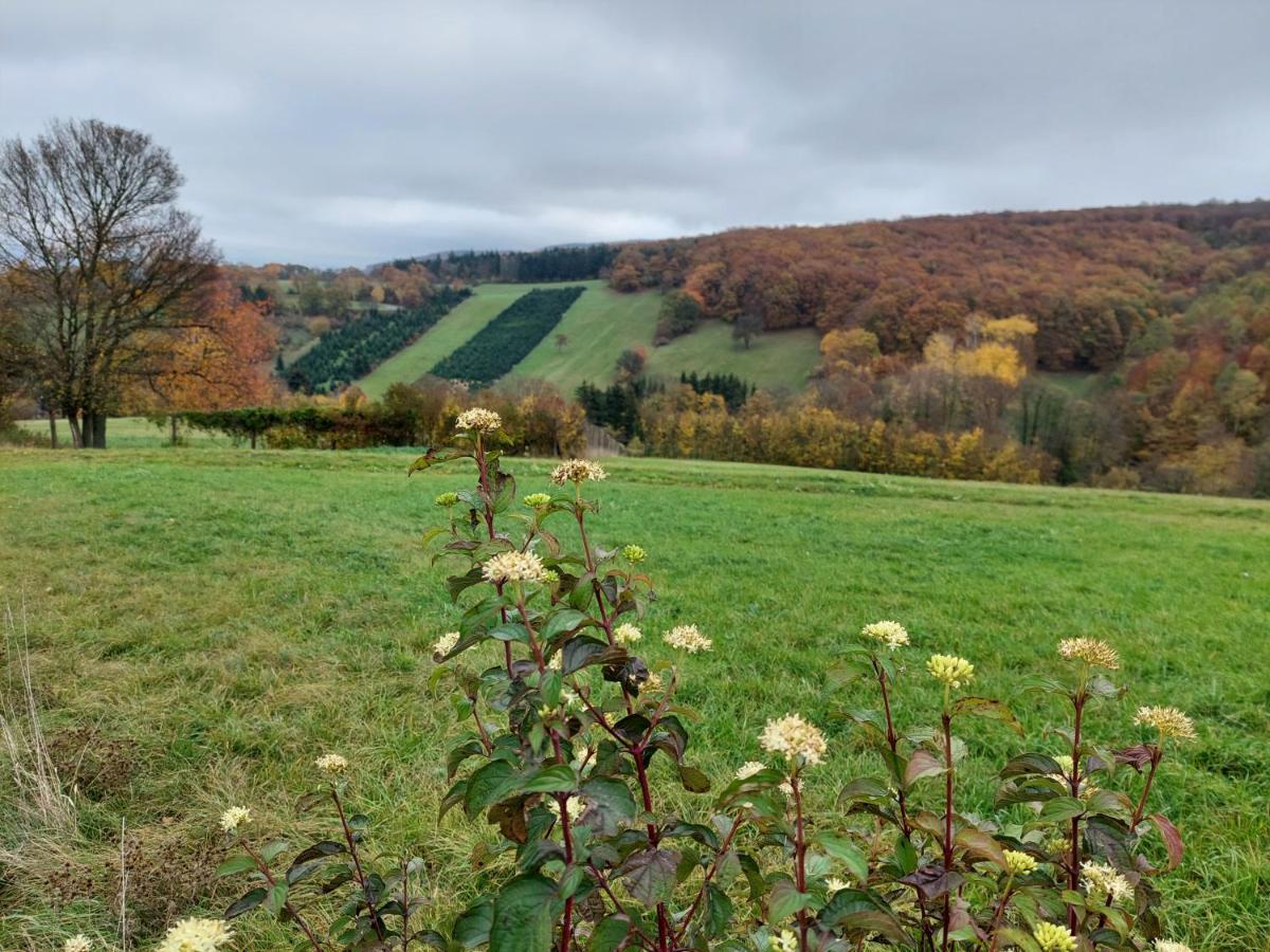 Pension Welserhof Wilfersdorf  Eksteriør bilde